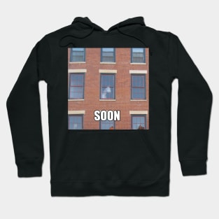 Soon Horse Meme Hoodie